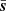 $ \bar{\boldsymbol{s}} $
