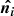 $ {\boldsymbol{\hat{n_i}}} $