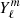 $ {Y^m_{\ell}} $