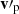 $ {\mathbf{v}}\prime_{\mathrm{p}} $