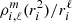 $ \rho_{i, \ell}^m(r_i^2)/r_i^\ell $