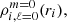 $ \rho_{i, \ell=0}^{m=0}(r_i), $
