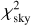 $\chi _{{\rm{sky}}}^2$