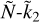 $\tilde N{\rm{ - }}{{\tilde k}_2}$