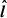 $ \boldsymbol{\hat{l}} $