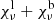 $ \chi^{\rm l}_\nu + \chi^{\rm b}_\nu $