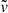 $ \tilde{\mathit{v}} $