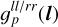 $g_p^{{{ll} \mathord{\left/ {\vphantom {{ll} {rr}}} \right. \kern-\nulldelimiterspace} {rr}}}\left( {\bf{l}} \right)$