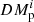 $ DM_{\rm p}^i $