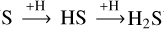 ${\rm{S}}\buildrel { + {\rm{H}}} \over \longrightarrow {\rm{HS}}\buildrel { + {\rm{H}}} \over \longrightarrow {{\rm{H}}_2}{\rm{S}}$
