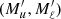 $ (M_u^\prime,M_\ell^\prime) $