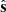 $ \hat{\mathbf{s}} $