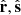 $ \hat{\mathbf{r}}, \hat{\mathbf{s}} $
