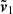 $ \tilde{\boldsymbol{v}}_{1} $