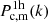 $ P_{\mathrm{c,m}}^{\mathrm{1h}}(k) $