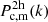$ P_{\mathrm{c,m}}^{\mathrm{2h}}(k) $