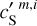 ${{c'}_{\rm{S}}}^{m,i}$
