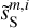 $\tilde s_{\rm{S}}^{m,i}$