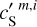 ${{c'}_{\rm{S}}}^{m,i}$