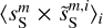${\left\langle {s_{\rm{S}}^m \times \tilde s_{\rm{S}}^{m,i}} \right\rangle _i}$
