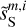 $\tilde s_{\rm{S}}^{m,i}$
