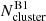 $ N^{\mathrm{B1}}_{\mathrm{cluster}} $