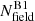 $ N^{\mathrm{B1}}_{\mathrm{field}} $