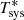 $ T_{\mathrm{sys}}^{*} $