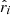 $ {\hat{r}}_i $