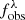 $ f_{\mathrm{obs}}^{\lambda} $