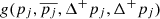 $ g(p_j, \overline{p_j}, \Delta^+p_j, \Delta^+p_j) $
