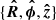 $ \{\boldsymbol{\hat{R}},\boldsymbol{\hat{\phi}},\boldsymbol{\hat{z}}\} $