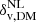 $ \delta_{\mathrm{v,DM}}^{\mathrm{NL}} $