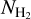 ${N_{{{\rm{H}}_2}}}$
