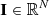 $ \mathbf{I}\in\mathbb R^N $