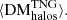 $ \langle\rm{DM^{TNG}_{halos}}\rangle. $