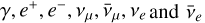 $\gamma ,{e^ + },{e^ - },{v_\mu },{\bar v_\mu },{v_e}\,{\rm{and}}\,{\bar v_e}$