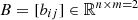 $ B = [b_{ij}] \in \mathbb{R}^{n\times m=2} $
