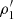 $ \rho_{1}^\prime $