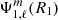 $ \Psi_{1, \ell}^m(R_{1}) $