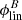 $ \phi_{\rm lin}^B $