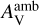 $A_{\rm{V}}^{{\rm{amb}}}$