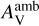 $A_{\rm{V}}^{{\rm{amb}}}$