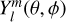 $Y_l^m(\theta ,\phi )$