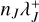 ${n_J}\lambda _J^ + $