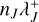 ${n_J}\lambda _J^ + $