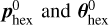$p_{{\rm{hex }}}^0{\rm{ and }}\theta _{{\rm{hex }}}^0{\rm{. }}$