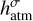 $h_{{\rm{atm}}}^\sigma $