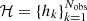 $ \mathcal{H}=\{ {h_k}\}_{k=1}^{N_\mathrm{obs}} $