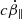 $ c\dot{\beta}_\| $